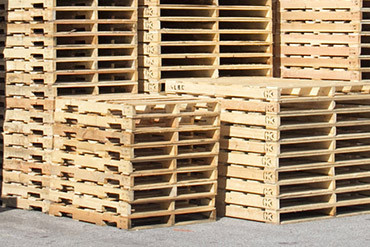 Candian Exporters