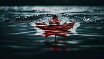 Candian Exporters