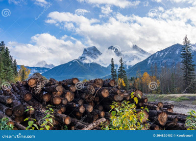 Candian Exporters