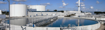 Candian Exporters
