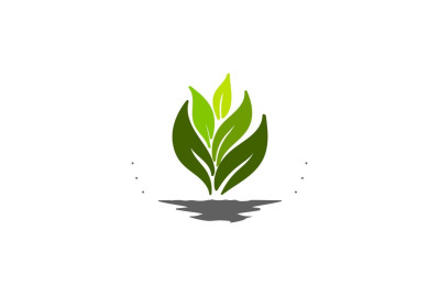 Candian Exporters