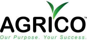 Candian Exporters
