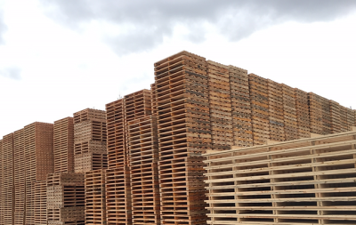 Candian Exporters
