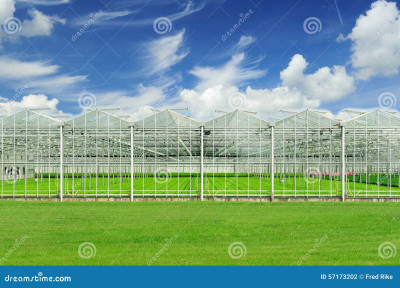 Candian Exporters