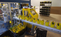Candian Exporters