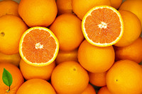 Candian Exporters