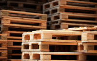 Candian Exporters