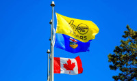 Candian Exporters