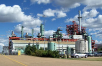 Candian Exporters
