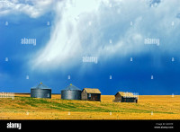 Candian Exporters