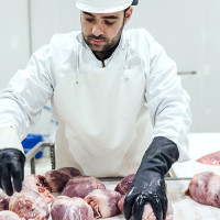 Candian Exporters