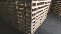 Candian Exporters