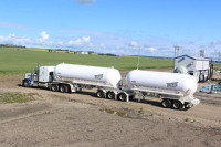 Candian Exporters