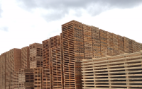 Candian Exporters