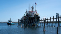 Candian Exporters