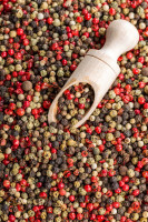 Candian Exporters