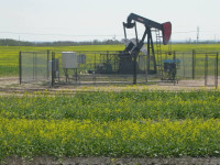 Candian Exporters