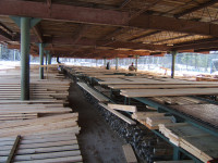 Candian Exporters