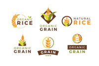 Candian Exporters
