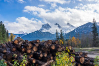 Candian Exporters