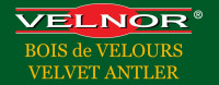 Candian Exporters